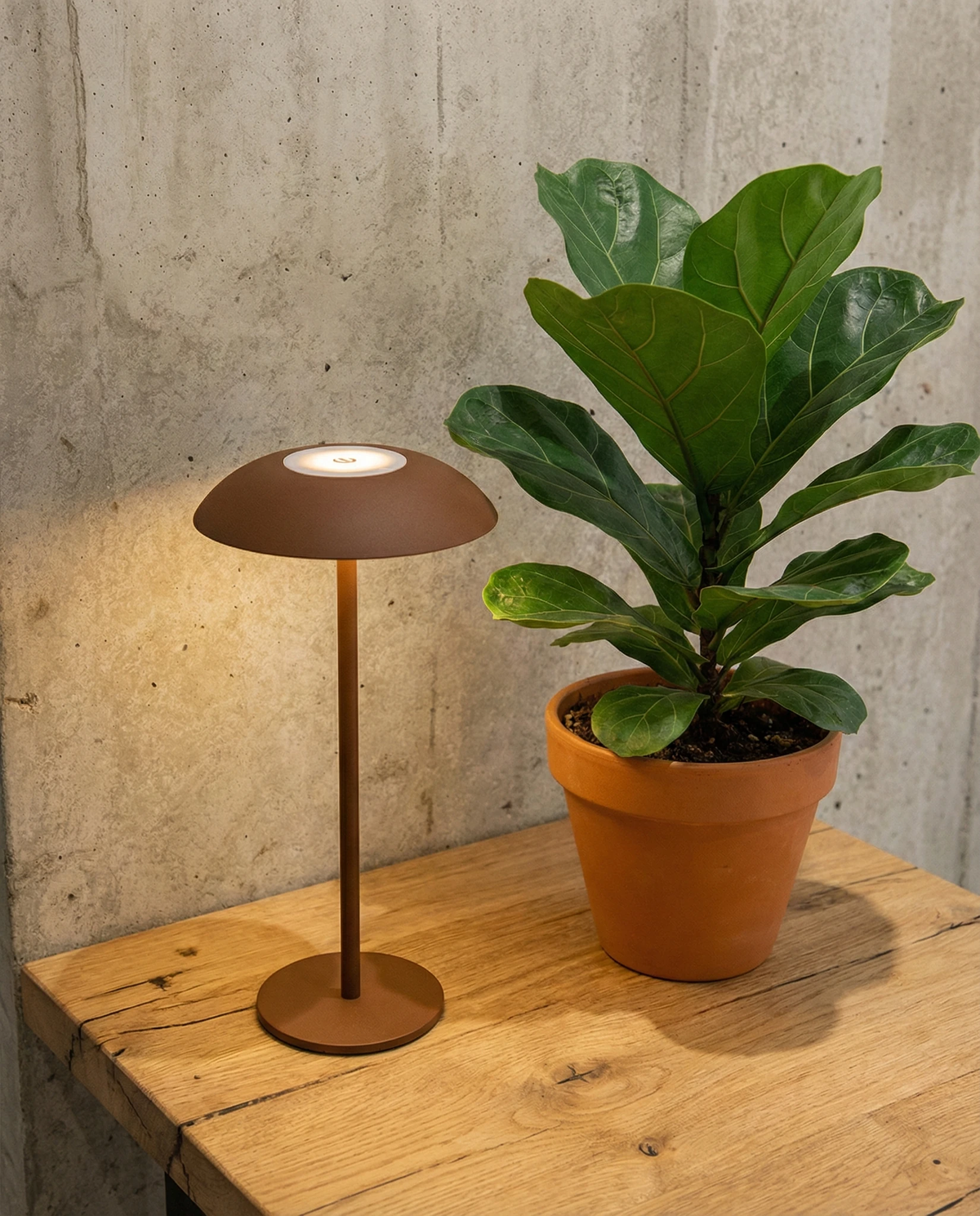 Cordless table lamp PESCARA No.01 in brown, lit on a wooden bench beside a potted fiddle-leaf fig and a concrete wall